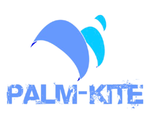 Palm Kite